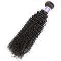 Silk Road Hair Kinky Curly Wave Virgin Human Hair - The Best Human Hair Weave and Human Hair Wigs