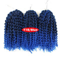 Crochet Braids kinky Twist Hair 8 inches Curly Crochet Hair Crochet Braids Hair Ombre Synthetic Hair Extensions