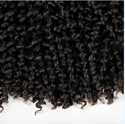 Havana Twist Hair Crochet braids Synthetic Ombre Braiding Hair Extensions Brazilian Jerry Curly Bundles Kinky Curly Hair Bulk
